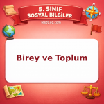 5. Sınıf Sosyal Bilgiler Birey ve Toplum Testi - testçöz.com