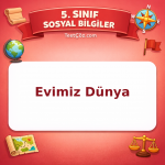 5. Sınıf Sosyal Bilgiler Evimiz Dünya Testi - testçöz.com