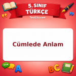 5. Sınıf Türkçe Cümlede Anlam Testi - testçöz.com