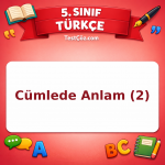 5. Sınıf Türkçe Cümlede Anlam (2) Testi - testçöz.com