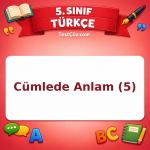 5. Sınıf Türkçe Cümlede Anlam (5) Testi - testçöz.com