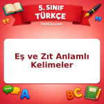 5. Sınıf Türkçe Eş ve Zıt Anlamlı Kelimeler Testi - testçöz.com
