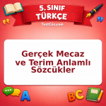 5. Sınıf Türkçe Gerçek Mecaz ve Terim Anlamlı Sözcükler Testi - testçöz.com