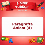 5. Sınıf Türkçe Paragrafta Anlam (4) Testi - testçöz.com