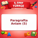 5. Sınıf Türkçe Paragrafta Anlam (5) Testi - testçöz.com