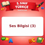 5. Sınıf Türkçe Ses Bilgisi (3) Testi - testçöz.com
