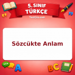 5. Sınıf Türkçe Sözcükte Anlam Testi - testçöz.com