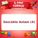 5. Sınıf Türkçe Sözcükte Anlam (4) Testi - testçöz.com