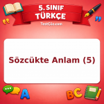 5. Sınıf Türkçe Sözcükte Anlam (5) Testi - testçöz.com
