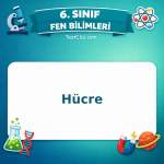6. Sınıf Fen Bilimleri Hücre Testi - testçöz.com