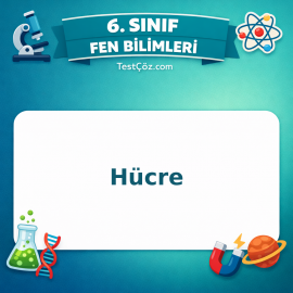 6. Sınıf Fen Bilimleri Hücre Testi - testçöz.com