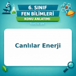 6. Sınıf Fen Bilimleri Canlılar Enerji Konu Anlatımı - testçöz.com