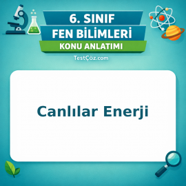 6. Sınıf Fen Bilimleri Canlılar Enerji Konu Anlatımı - testçöz.com