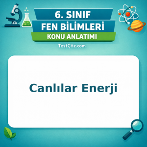 6. Sınıf Fen Bilimleri Canlılar Enerji Konu Anlatımı - testçöz.com