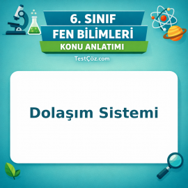 6. Sınıf Fen Bilimleri Dolaşım Sistemi Konu Anlatımı - testçöz.com