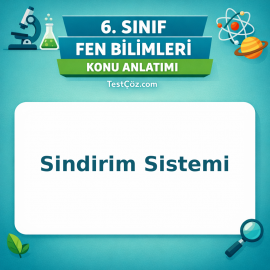 6. Sınıf Fen Bilimleri Sindirim Sistemi Konu Anlatımı - testçöz.com