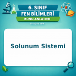6. Sınıf Fen Bilimleri Solunum Sistemi Konu Anlatımı - testçöz.com
