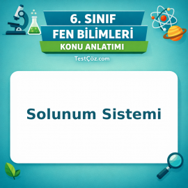 6. Sınıf Fen Bilimleri Solunum Sistemi Konu Anlatımı - testçöz.com
