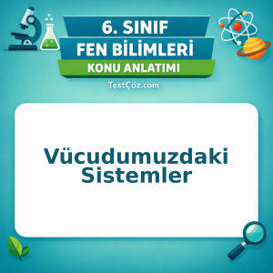 6. Sınıf Fen Bilimleri Vücudumuzdaki Sistemler Konu Anlatımı - testçöz.com