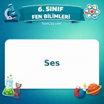 6. Sınıf Fen Bilimleri Ses Testi - testçöz.com