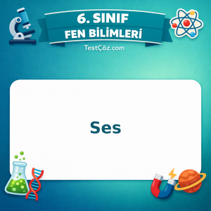 6. Sınıf Fen Bilimleri Ses Testi - testçöz.com