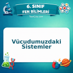 6. Sınıf Fen Bilimleri Vücudumuzdaki Sistemler Testi - testçöz.com