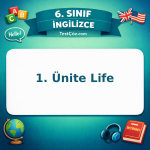 6. Sınıf İngilizce 1. Ünite Life Testi - testçöz.com