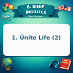 6. Sınıf İngilizce 1. Ünite Life (2) Testi - testçöz.com