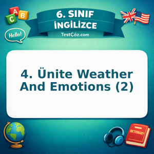 6. Sınıf İngilizce 4. Ünite Weather And Emotions (2) Testi - testçöz.com