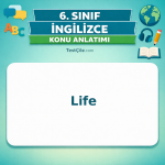 6. Sınıf İngilizce Life Konu Anlatımı - testçöz.com