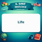 6. Sınıf İngilizce Life Testi - testçöz.com