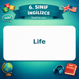6. Sınıf İngilizce Life Testi - testçöz.com