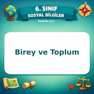 6. Sınıf Sosyal Bilgiler Birey ve Toplum Testi - testçöz.com