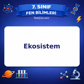 7. Sınıf Fen Bilimleri Ekosistem Testi - testçöz.com
