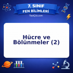 7. Sınıf Fen Bilimleri Hücre ve Bölünmeler (2) Testi - testçöz.com
