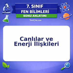 7. Sınıf Fen Bilimleri Canlılar ve Enerji İlişkileri Konu Anlatımı - testçöz.com