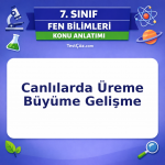 7. Sınıf Fen Bilimleri Canlılarda Üreme Büyüme Gelişme Konu Anlatımı - testçöz.com