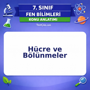 7. Sınıf Fen Bilimleri Hücre ve Bölünmeler Konu Anlatımı - testçöz.com