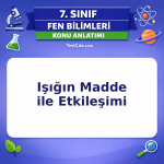 7. Sınıf Fen Bilimleri Işığın Madde ile Etkileşimi Konu Anlatımı - testçöz.com