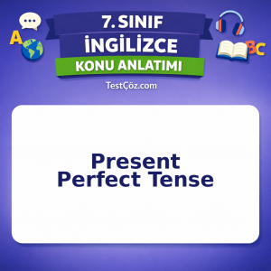 7. Sınıf İngilizce Present Perfect Tense Konu Anlatımı - testçöz.com