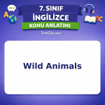 7. Sınıf İngilizce Wild Animals Konu Anlatımı - testçöz.com