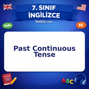 7. Sınıf İngilizce Past Continuous Tense Testi - testçöz.com