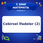 7. Sınıf Matematik Cebirsel İfadeler (2) Testi - testçöz.com