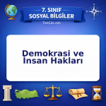 7. Sınıf Sosyal Bilgiler Demokrasi ve İnsan Hakları Testi - testçöz.com