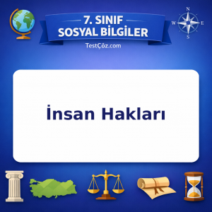 7. Sınıf Sosyal Bilgiler İnsan Hakları Testi - testçöz.com