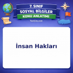 7. Sınıf Sosyal Bilgiler İnsan Hakları Konu Anlatımı - testçöz.com