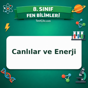 8. Sınıf Fen Bilimleri Canlılar ve Enerji Testi - testçöz.com