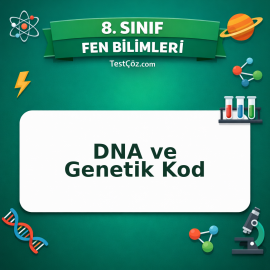 8. Sınıf Fen Bilimleri DNA ve Genetik Kod Testi - testçöz.com