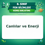 8. Sınıf Fen Bilimleri Canlılar ve Enerji Konu Anlatımı - testçöz.com