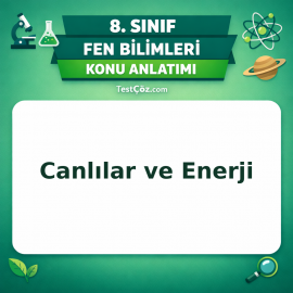 8. Sınıf Fen Bilimleri Canlılar ve Enerji Konu Anlatımı - testçöz.com